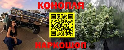 mix Славгород