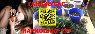 ECSTASY Сланцы