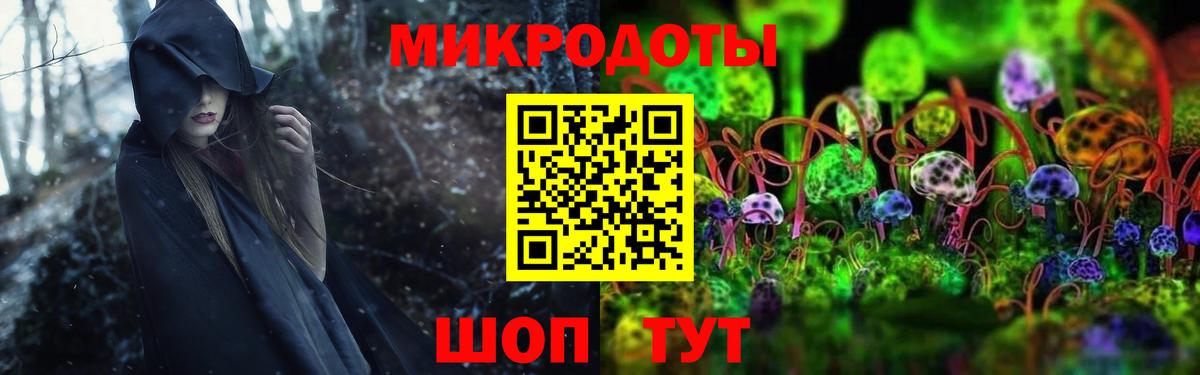 купить закладку  Галлюциногенные грибы мицелий  Вход с VPN  Галлюциногенные грибы прущие грибы  Норильск 